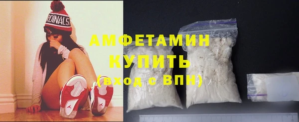 мет Алексин